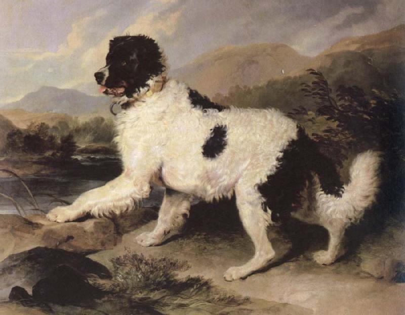 Sir Edwin Landseer lion a newfoundland dog oil painting picture